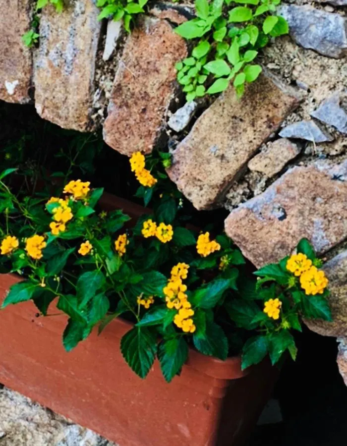 La Finestra Di Taormina Villa Holiday home